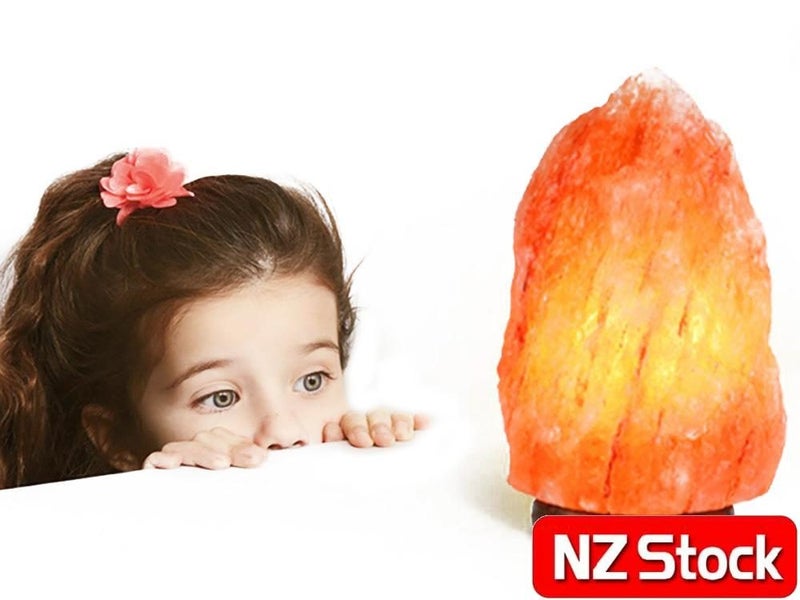 Large Salt Lamp NZ Clearance Carousel 2