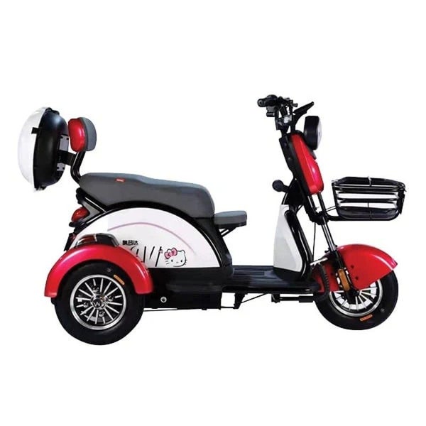 TM4 Electric Scooter Trike Carousel 1