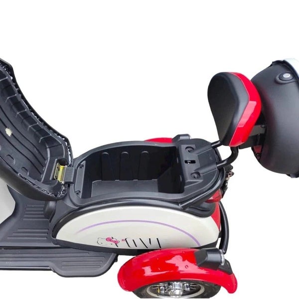 TM4 Electric Scooter Trike Carousel 5
