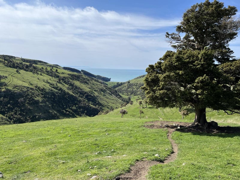 118 Seftons Road, Okains Bay, Banks Peninsula, Canterbury