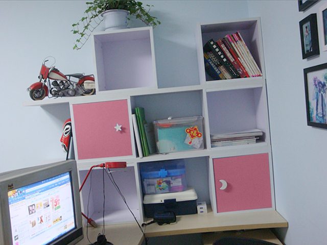DIY Shelf Multi-functional Combinable - Pink Carousel 2