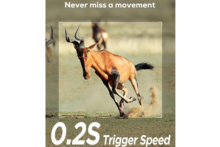 iZeeker IG200 20MP 1080P Trail Camera Carousel 4