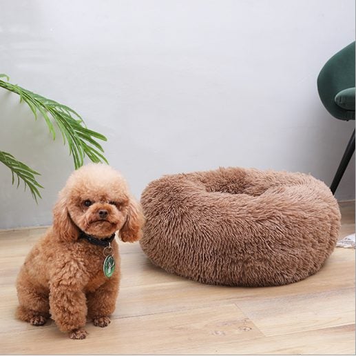 Plush Pet Bed Sofa Carousel 5