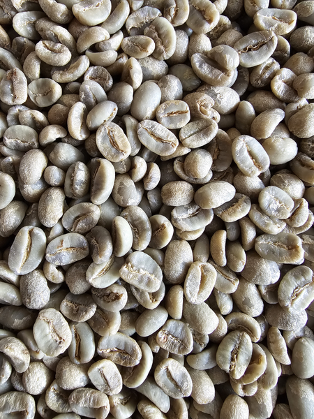 Green Coffee Arabica 9 Kg Carousel 5