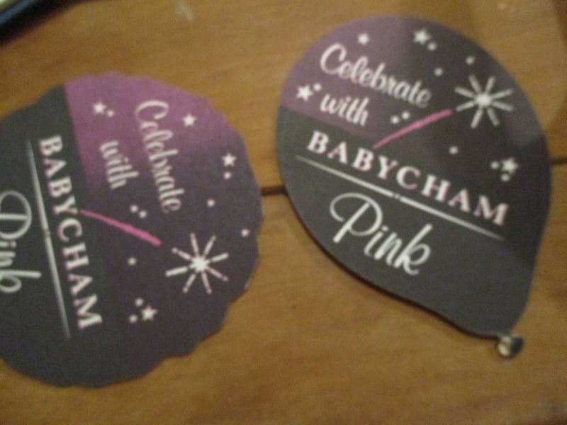 Think Pink - Baby Cham Carousel 1