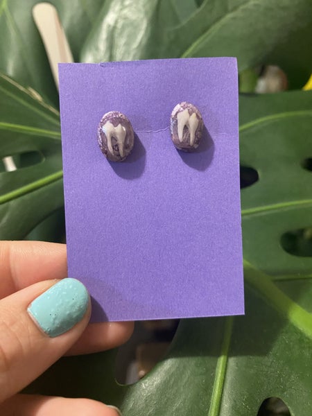 Possum teeth stud earrings (taxidermy art) Carousel 1