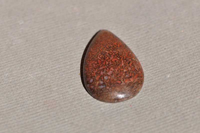 Fossil Dinosaur Bone Cabochon Carousel 1