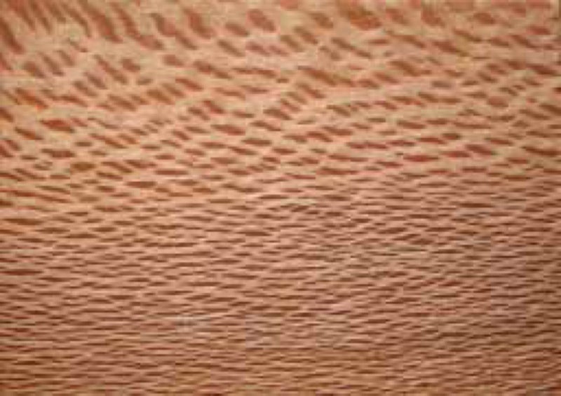 60mmx60mm X 4.5m Rewarewa timber final clearance628543108814111111