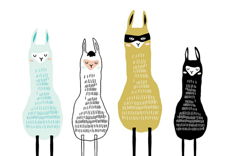 Canvas Print - Llama Cool Line-up 60x40cm Carousel 1