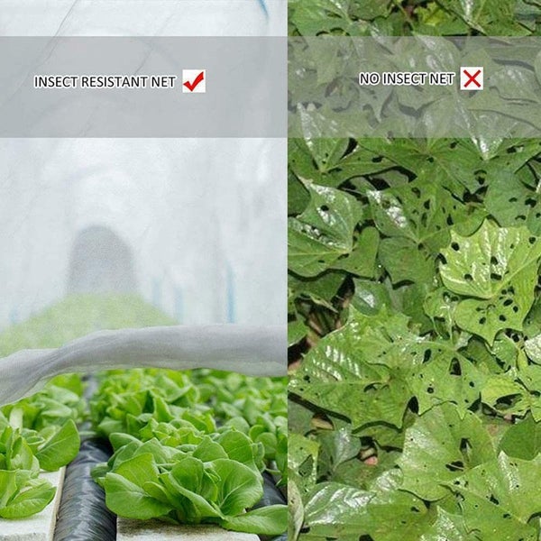 Insect Netting (OVER STOCKED) Carousel 2