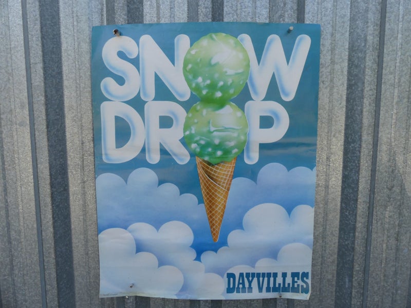 Awesome Vintage Ice Cream Advertising Poster Dayvilles Snow Drop Carousel 1