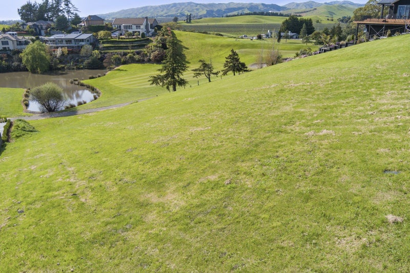 Image 2 of 19