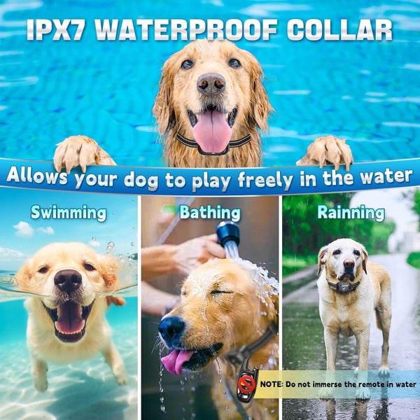 New Dog Training Collars on Afterpay Carousel 9