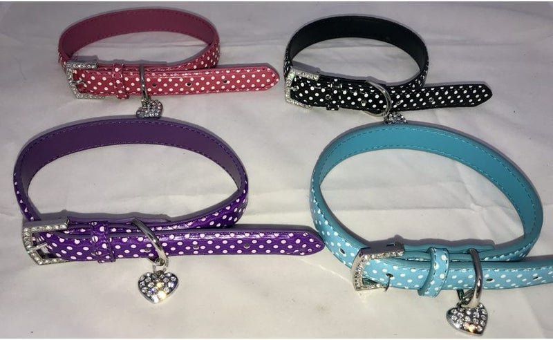 DOTTY DOG COLLAR - SMALL Carousel 2