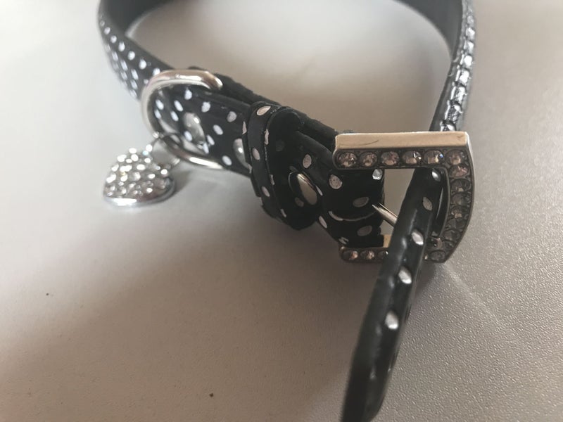 DOTTY DOG COLLAR - SMALL Carousel 3