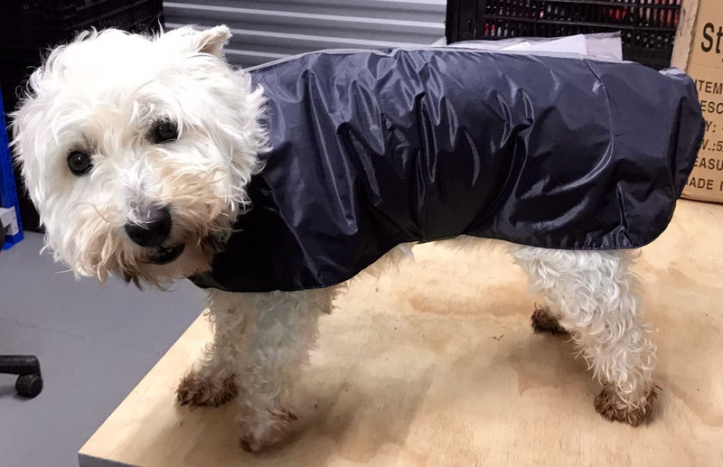 DOG RAIN JACKET - 35cm - 3 colours to choose from Carousel 1