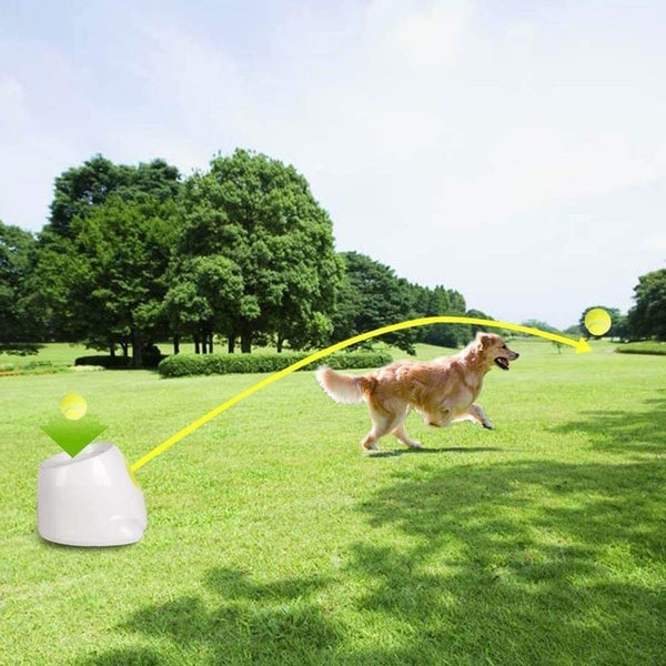 Automatic Tennis Launcher Dog Ball Thrower - (NZ CLEARANCE) Carousel 2