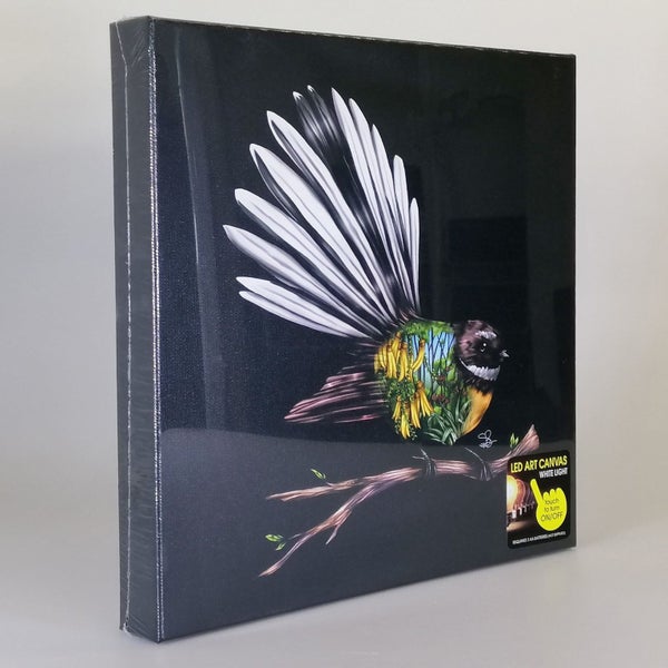 Sophie Blokker Fantail LED Print Carousel 1