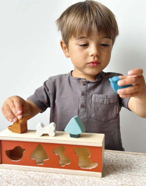 Mentari: Pet Shape Sorting Box Carousel 5