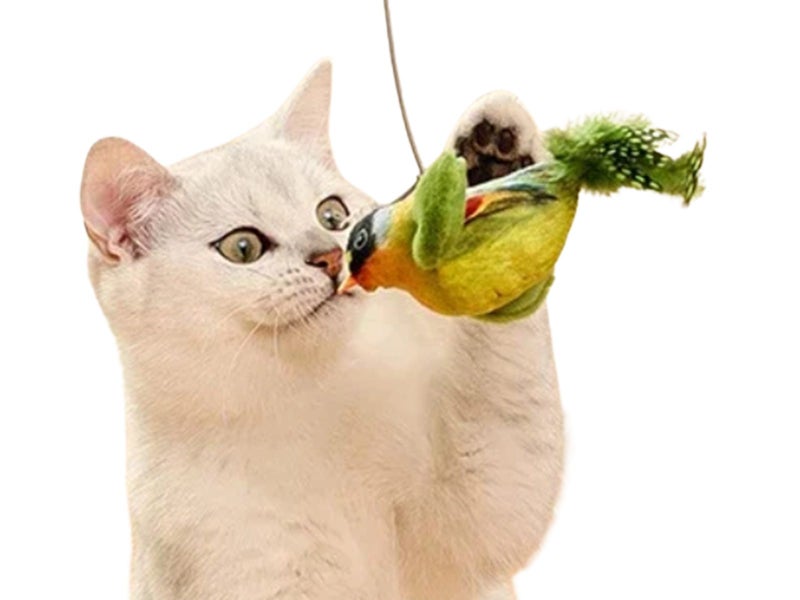 Interactive Cat Toy With Simulated Chirping Bird Artificial Bird Green Carousel 1