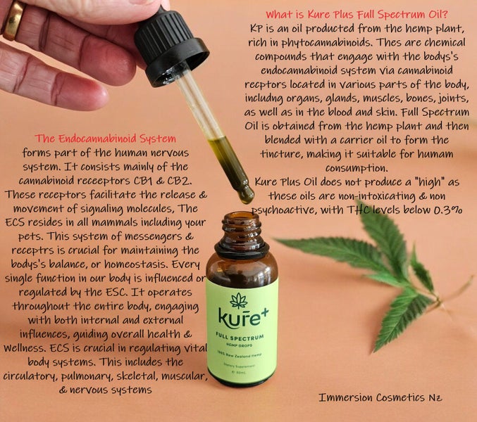 MAGNESIUM AND BORON OIL SPRAY (Arthritis Pain Relief plus Much More) - NZ MADE Carousel 19