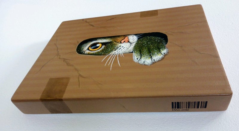 "Cat in a Box" by MAG. Carousel 2