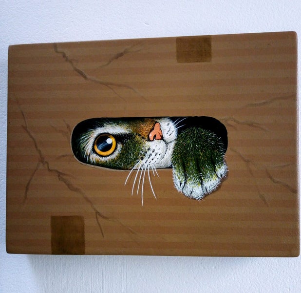 "Cat in a Box" by MAG. Carousel 4
