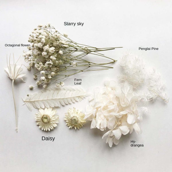 DIY Dried Flower Set sale nz stock deal Carousel 2