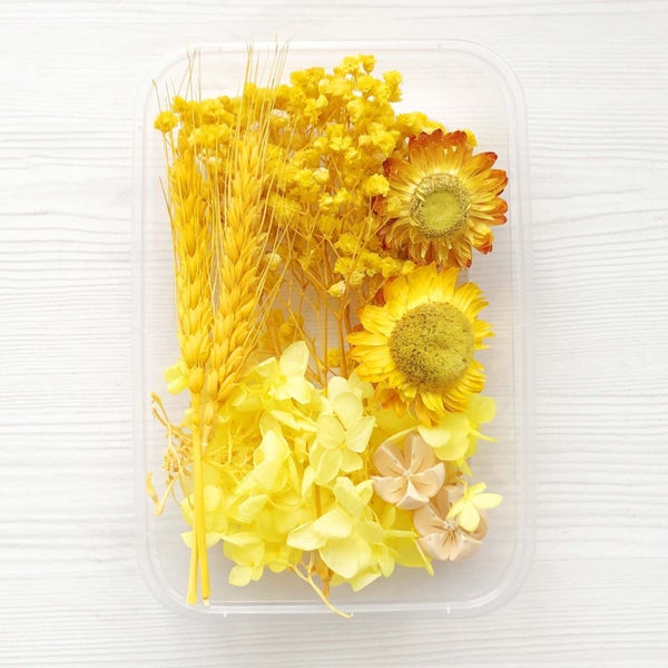 DIY Dried Flower Set sale nz stock deal Carousel 1