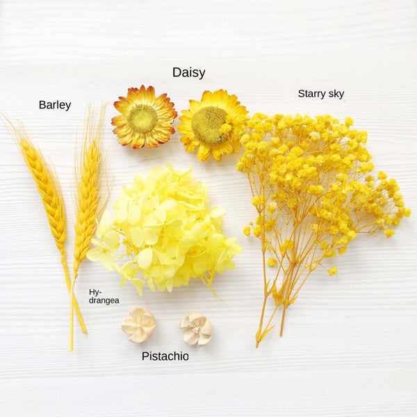 DIY Dried Flower Set sale nz stock deal Carousel 2