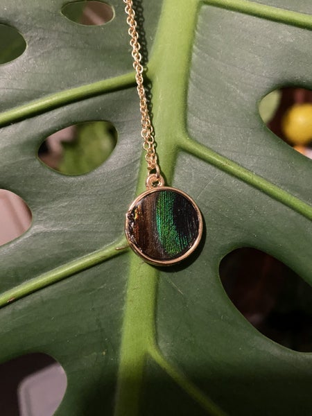 Peacock Feather and Resin Pendant (small) Carousel 1