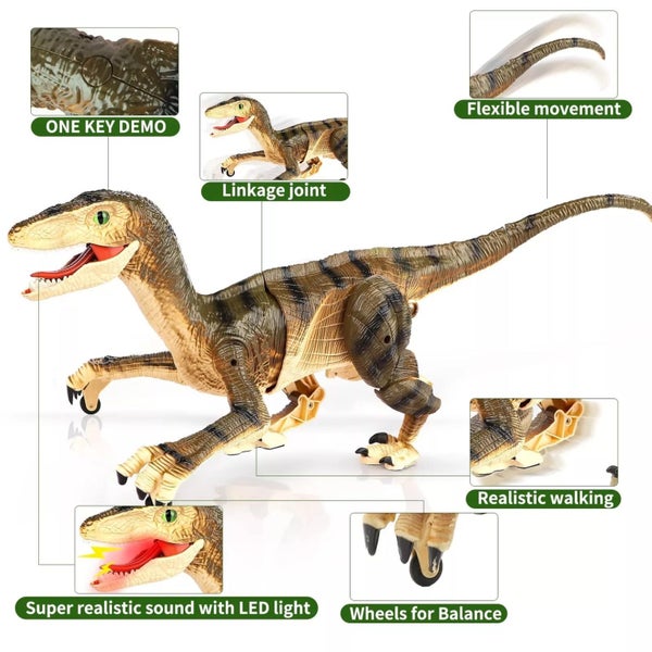 Remote Control Walking Robot Dinosaur Toy Carousel 2