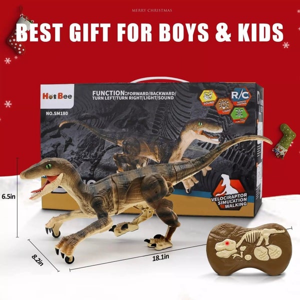 Remote Control Walking Robot Dinosaur Toy Carousel 10