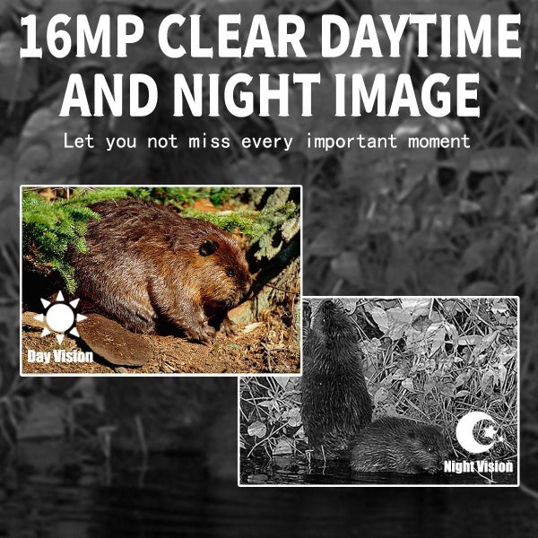 Pr300 Pro Outdoor Night Vision Hunting Tracking Camera 16Mp Motion Activated Carousel 6
