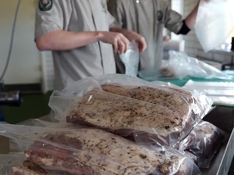 Dry-Curing Process with Tublin® Carousel 1