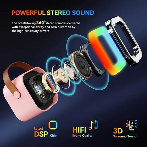 Portable Mini Karaoke Machine - 2-Mic Carousel 5