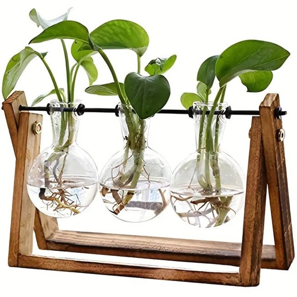 1pc Plant Terrarium With Wooden Stand Carousel 1