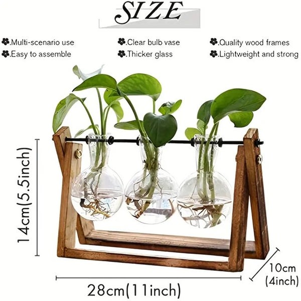1pc Plant Terrarium With Wooden Stand Carousel 2