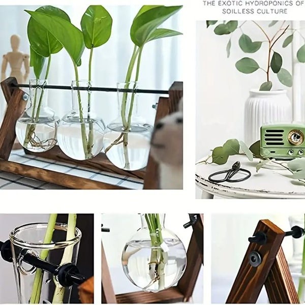 1pc Plant Terrarium With Wooden Stand Carousel 3