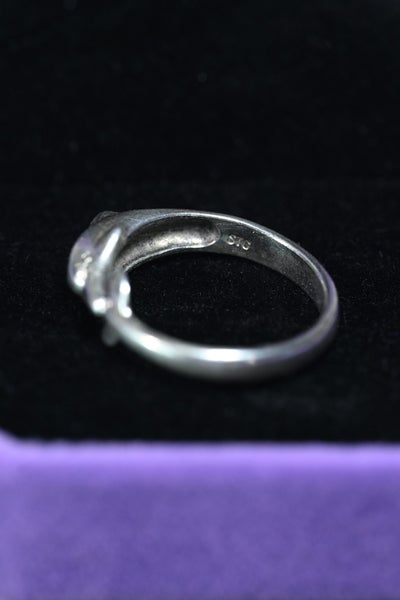 Silver dolphin ring Carousel 2