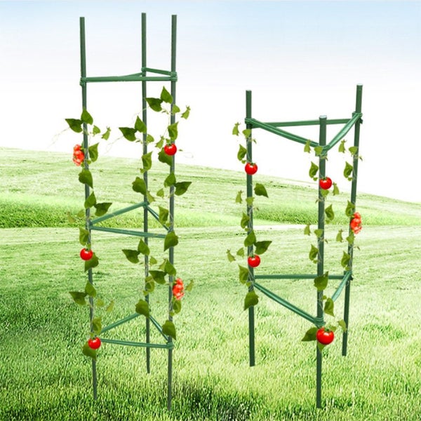 Tomato Cage - Brand New Carousel 2