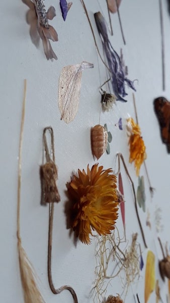 Artwork - Nature's Self Portrait Carousel 2