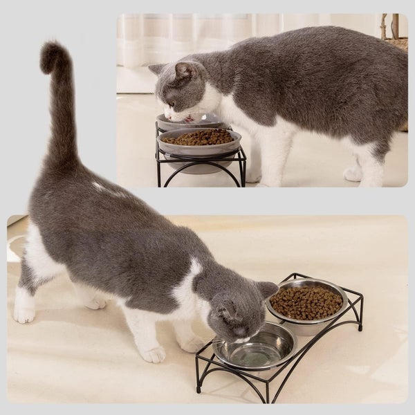 FOREYY Elevated Cat Bowls with 2 Ceramic Bowls and 2 Stainless Steel Bowls,Ra... Carousel 18