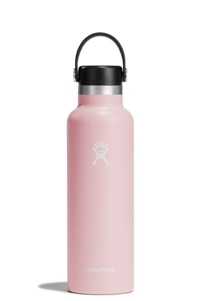 Hydro Flask 21oz (621ml) Standard Mouth Drink Bottle Trillium Carousel 1
