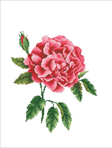 Needle Art World No-Count Cross Stitch Kit - Rose Bloom Carousel 2