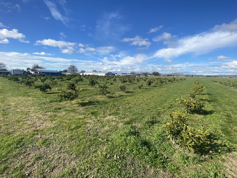 85 kaiapo road hastings, Camberley, Hastings, Hawke's Bay