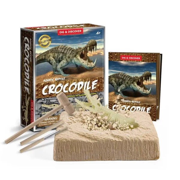 Piano Potato Crocodile Dig Kit Carousel 1