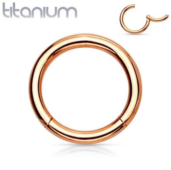 18g Rose Gold Implant Grade Titanium Hinged Segment Ring. 5 Sizes available. Carousel 1