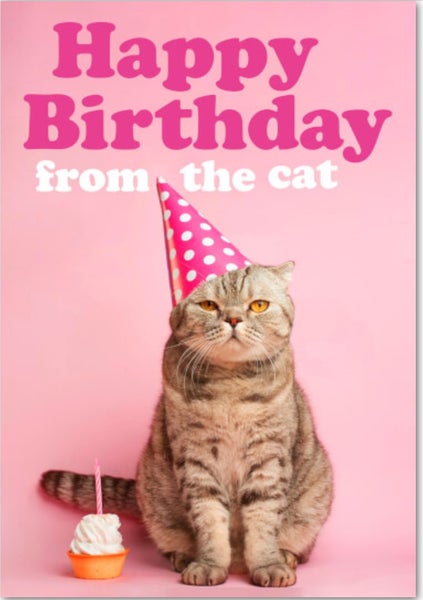 Card - Happy Birthday from the Cat Carousel 1