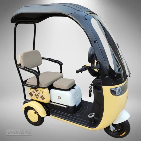 TM7 Electric Scooter with Canopy Carousel 1